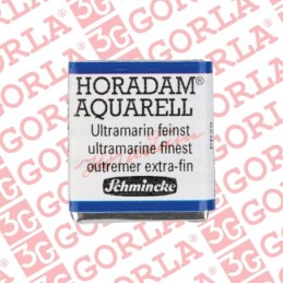 494 Horadam Aquarell 1/2Gd...