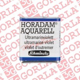 495 Horadam Aquarell 1/2Gd...