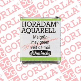 524 Horadam Aquarell 1/2Gd...