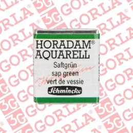 530 Horadam Aquarell 1/2Gd...