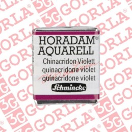 368 Horadam Aquarell 1/2Gd...