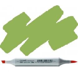 Copic Sketch Yg17 Grass Green